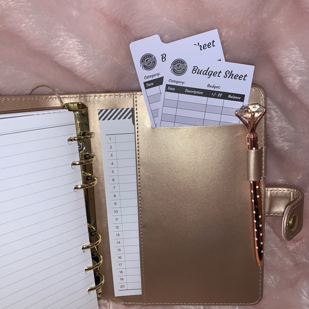 Budget planner - Picture 7 of 12